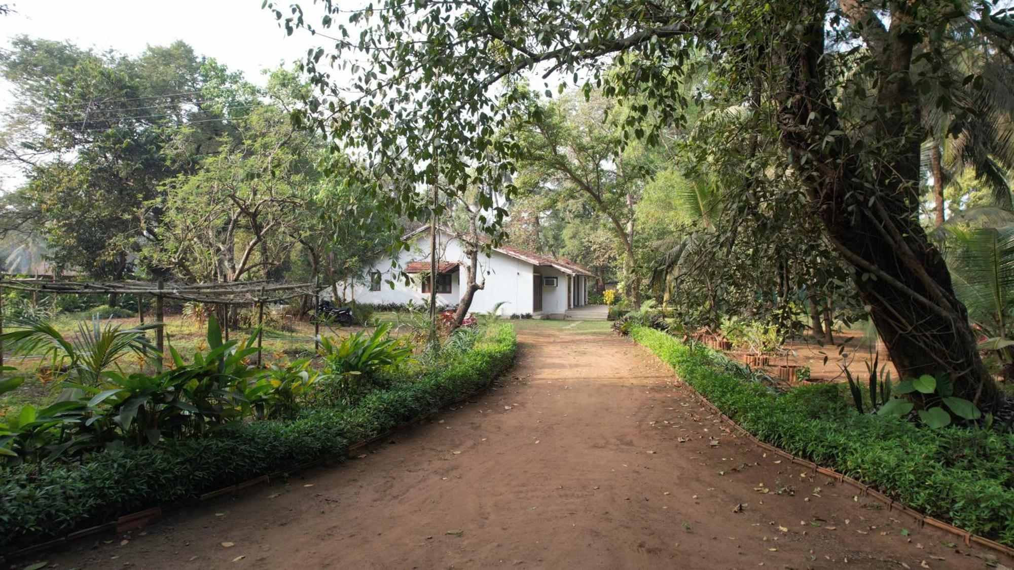 Banyan House - Luxurious 4 Bedroom Villa On One Acre, Near The Beach นาโกน ภายนอก รูปภาพ