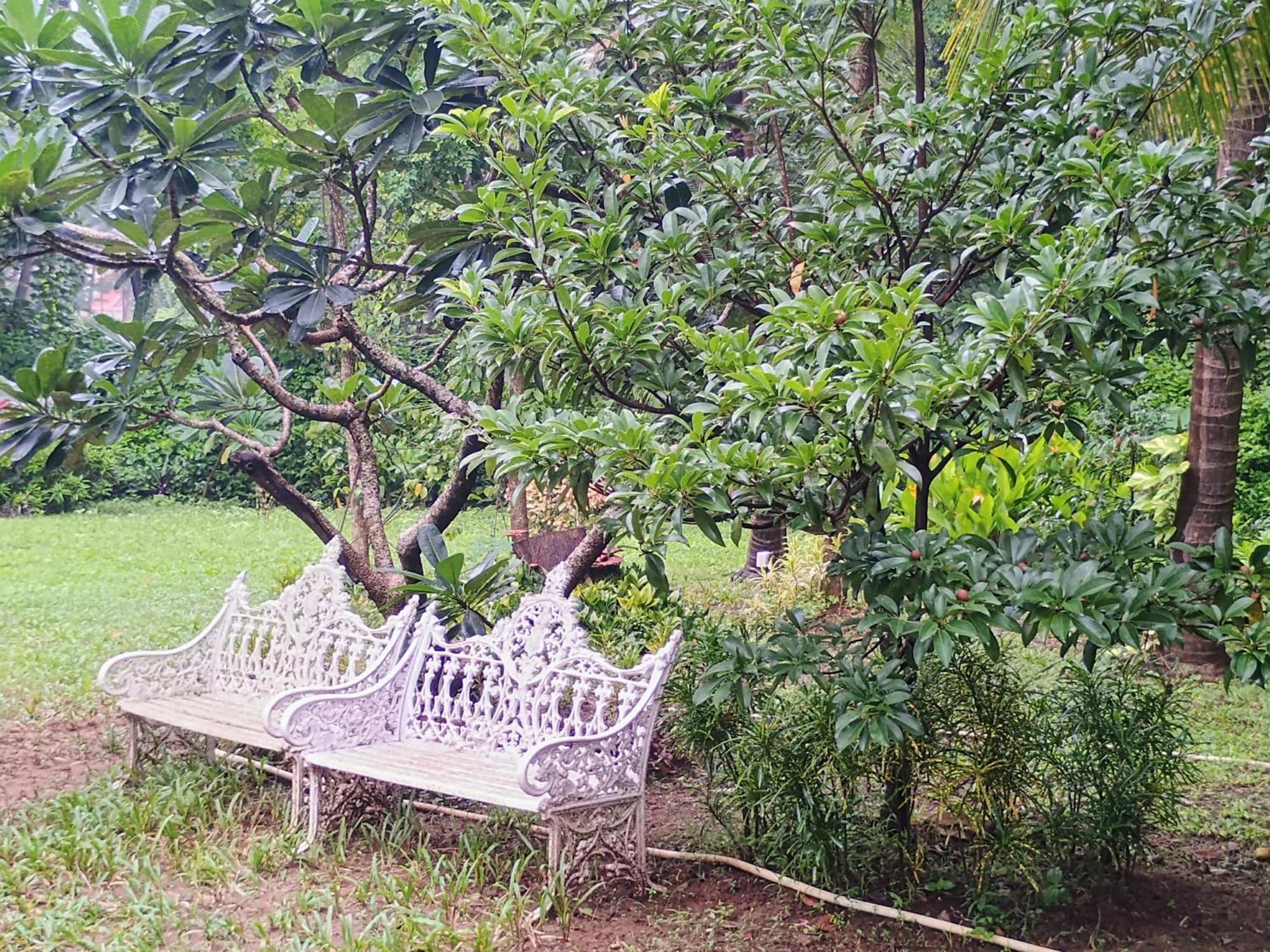 Banyan House - Luxurious 4 Bedroom Villa On One Acre, Near The Beach นาโกน ภายนอก รูปภาพ